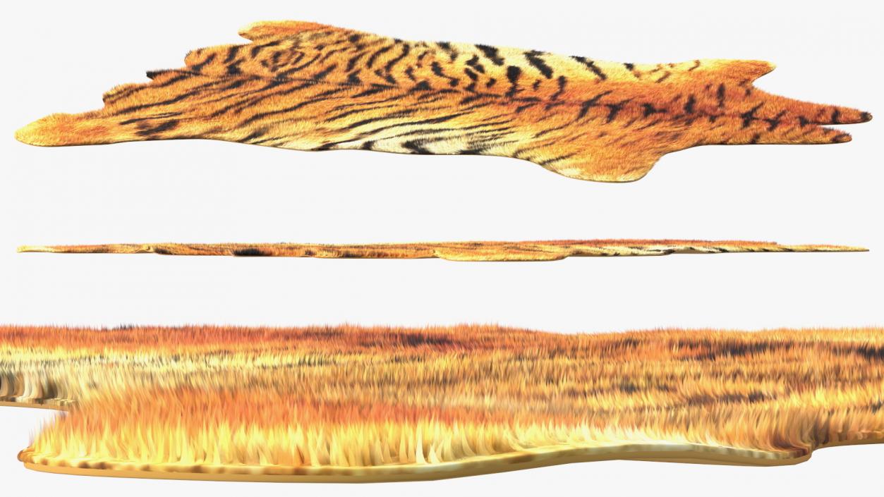 3D Tiger Hide Rug with Fur model