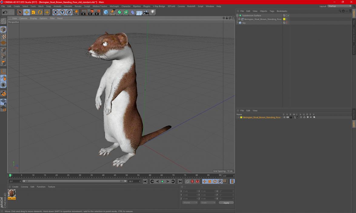 Beringian Stoat Brown Standing Pose 2 3D