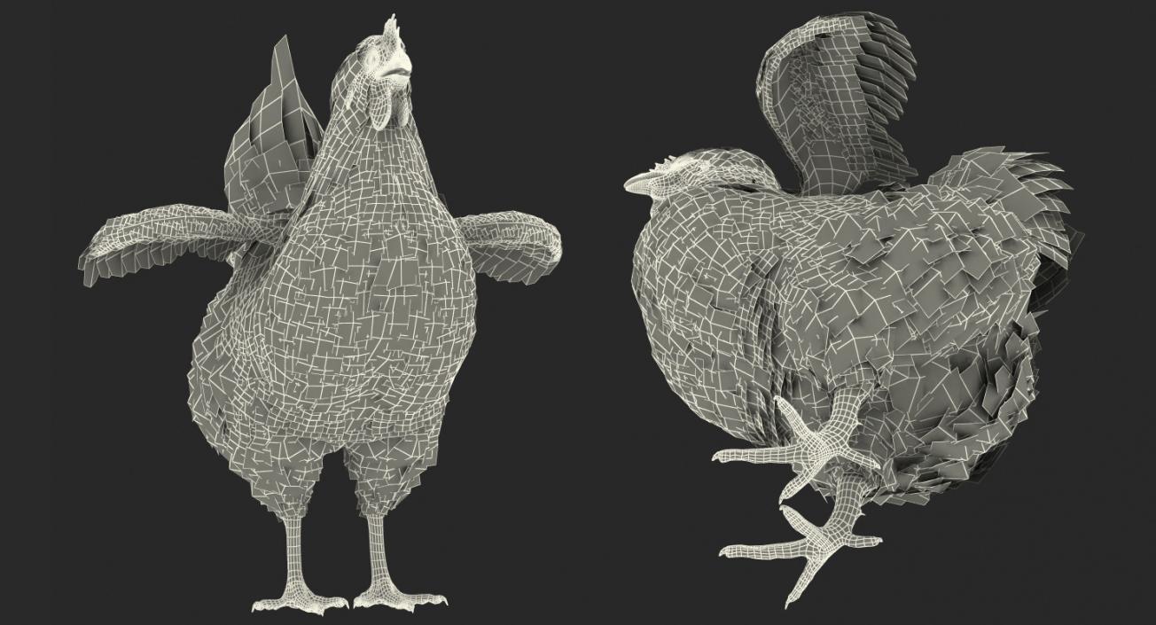 3D model Chicken and Rooster Collection