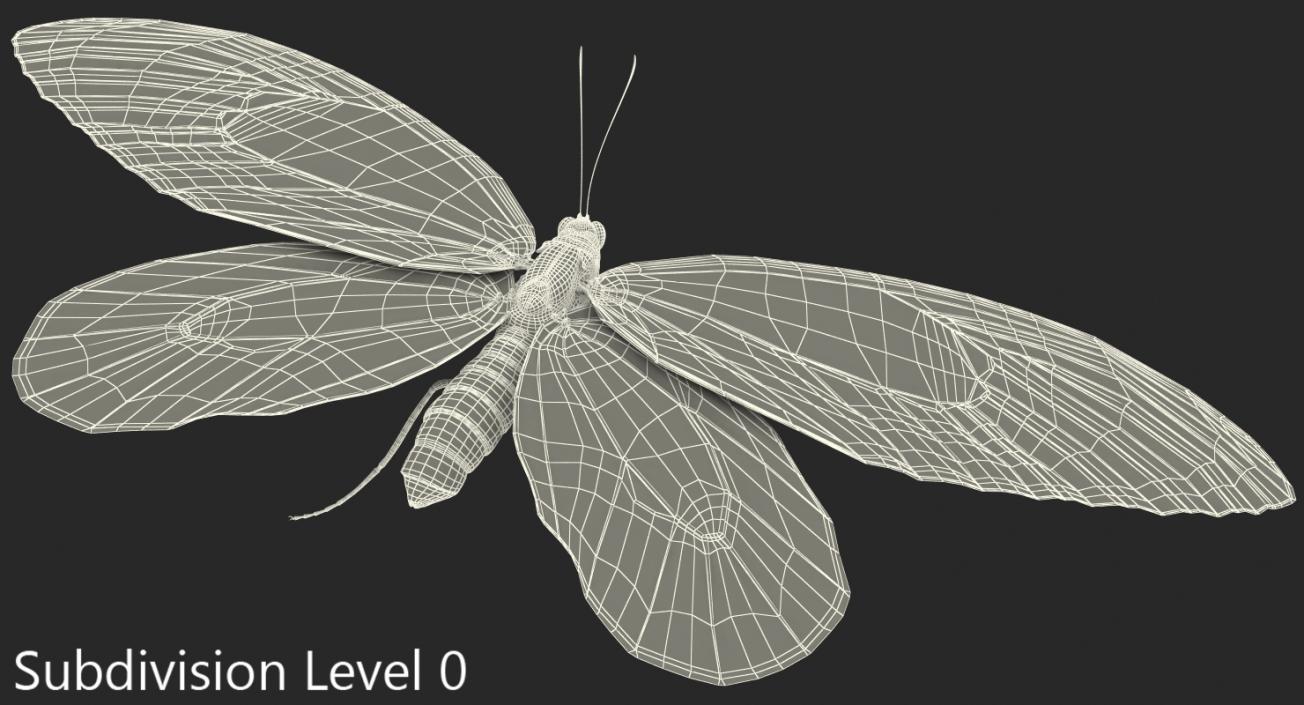 3D Ornithoptera Alexandrae Butterfly model