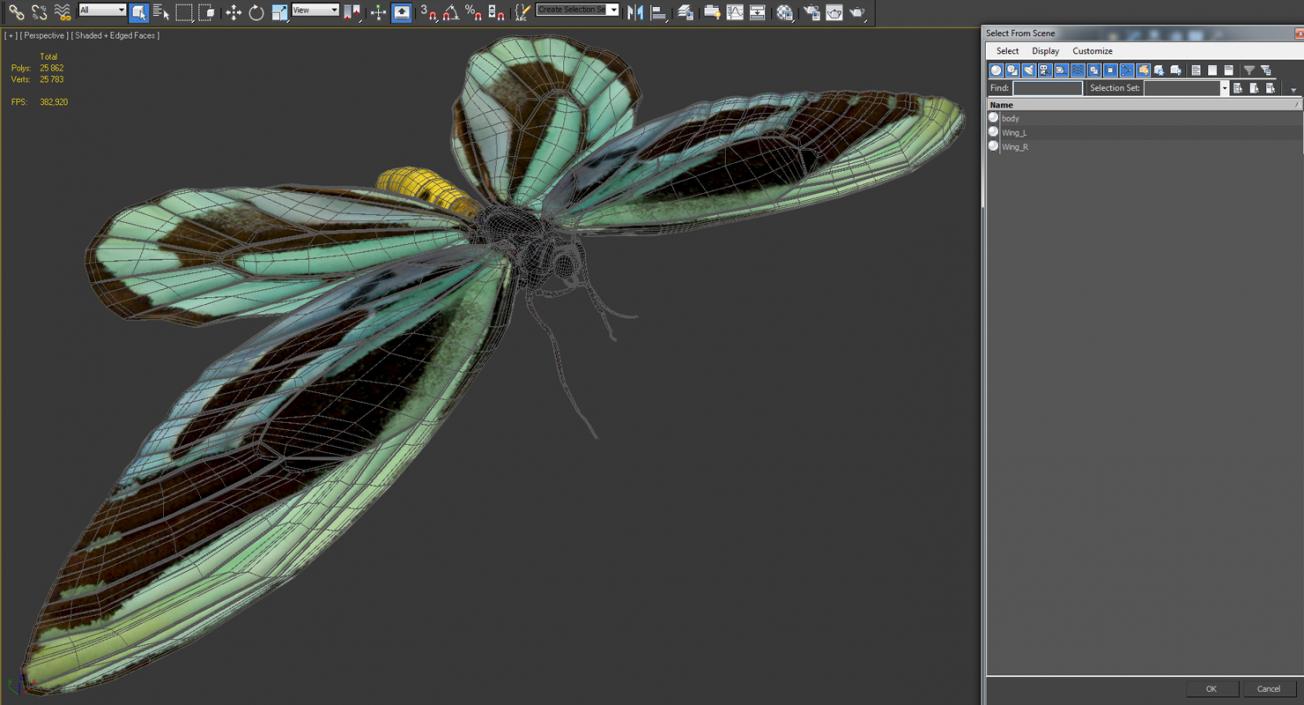 3D Ornithoptera Alexandrae Butterfly model