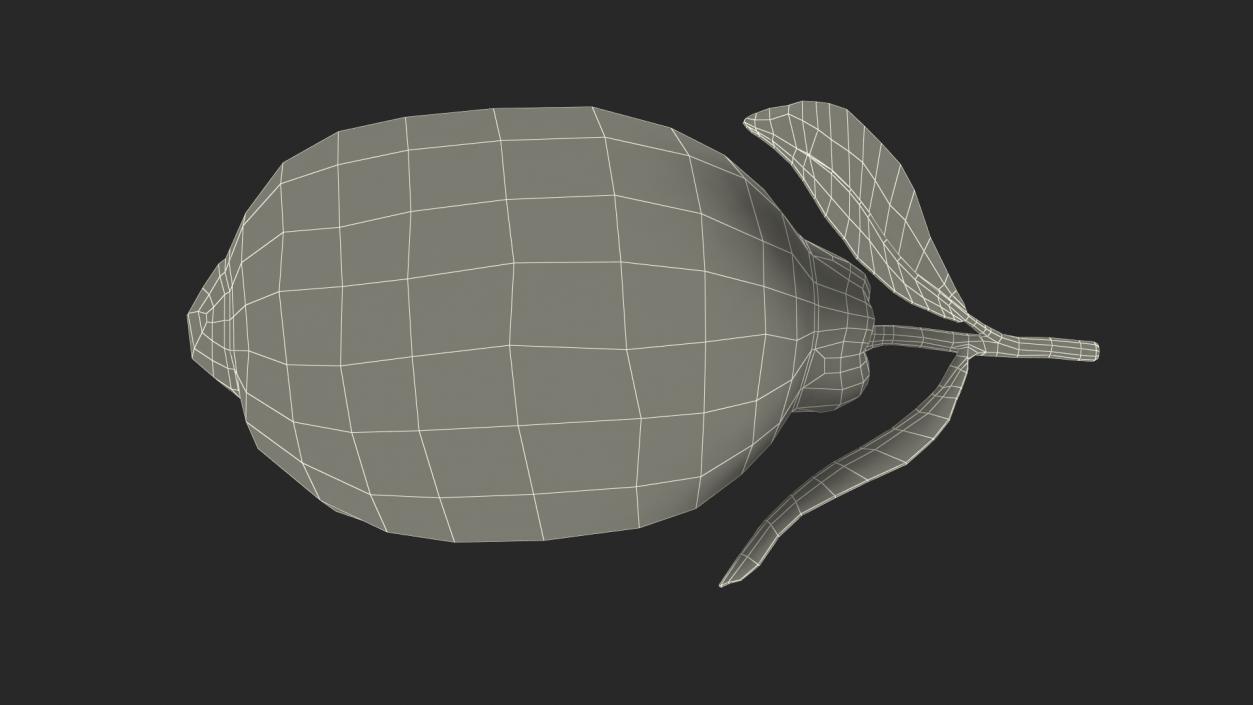 3D model Realistic Lemon with Leaf