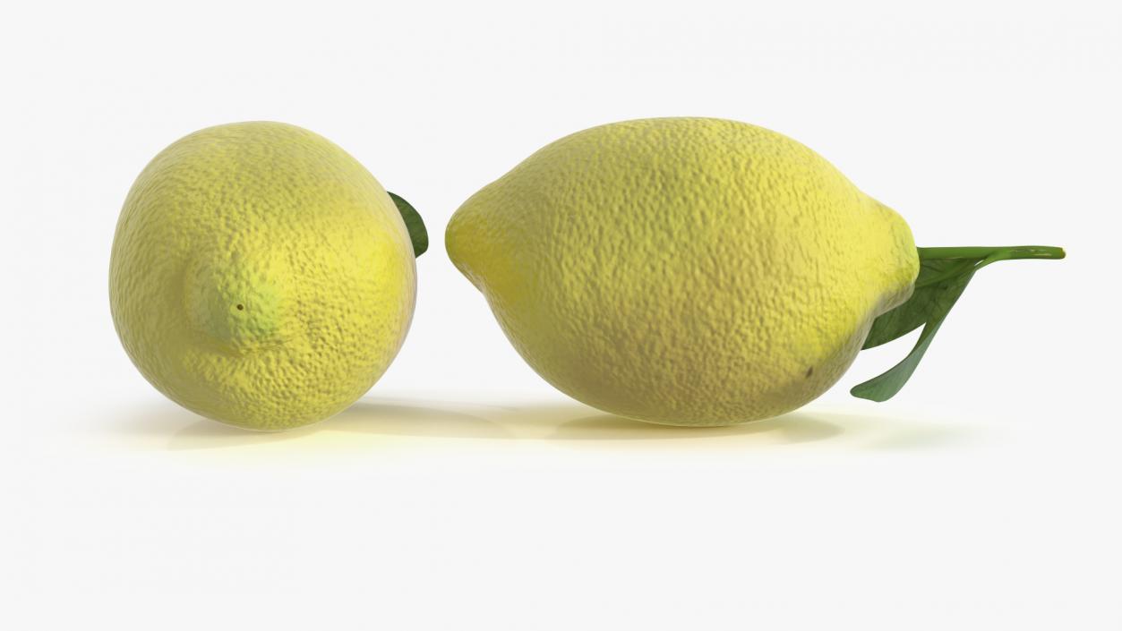 3D model Realistic Lemon with Leaf