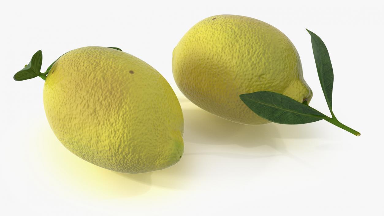 3D model Realistic Lemon with Leaf