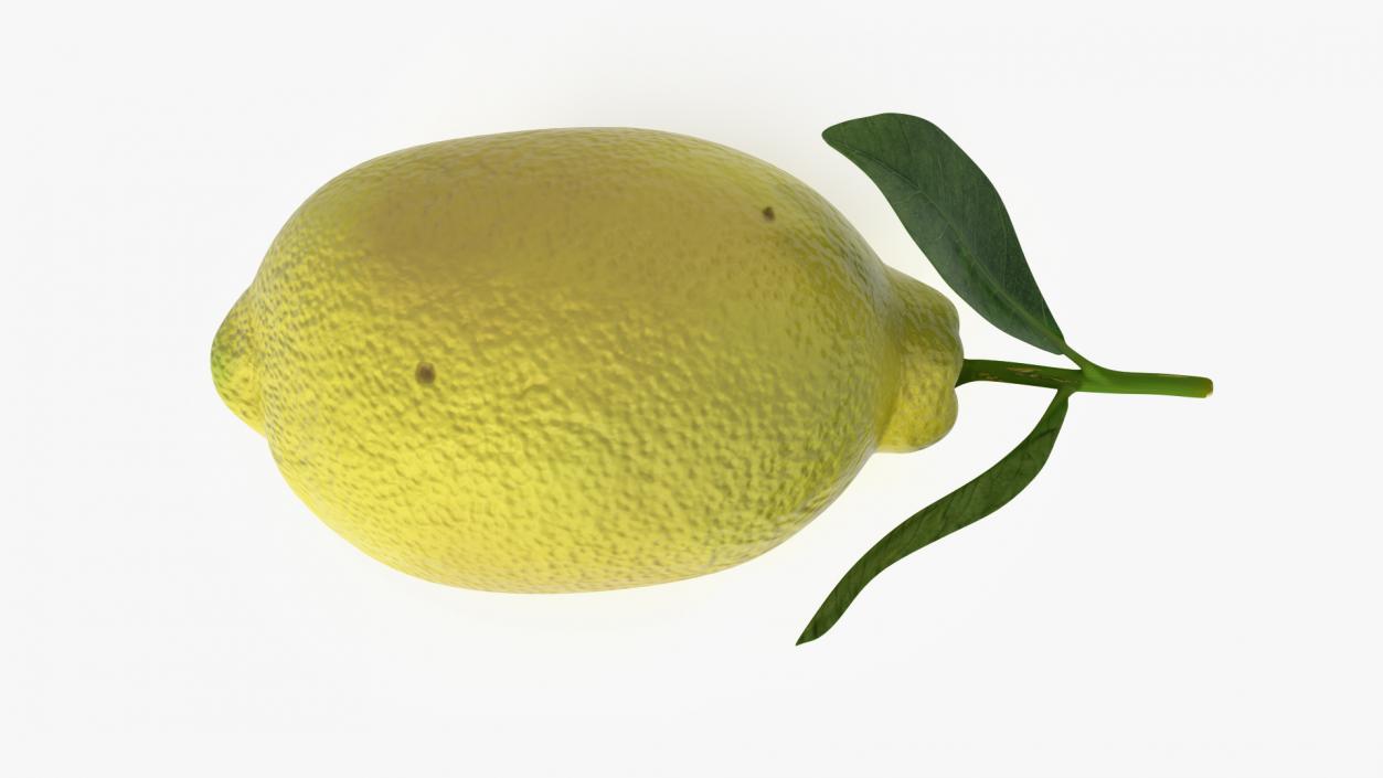 3D model Realistic Lemon with Leaf