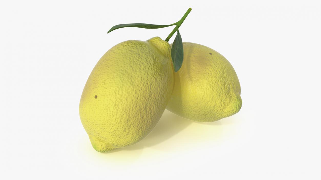 3D model Realistic Lemon with Leaf