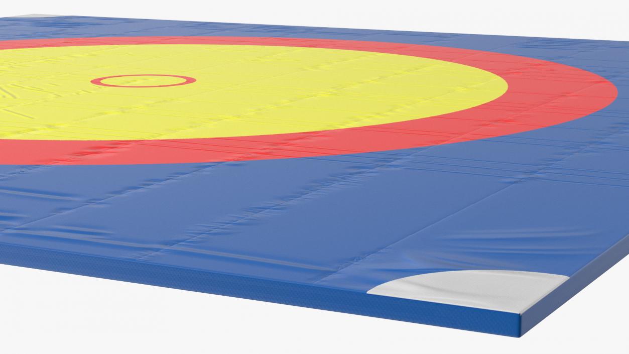 3D Olympic Wrestling Mat