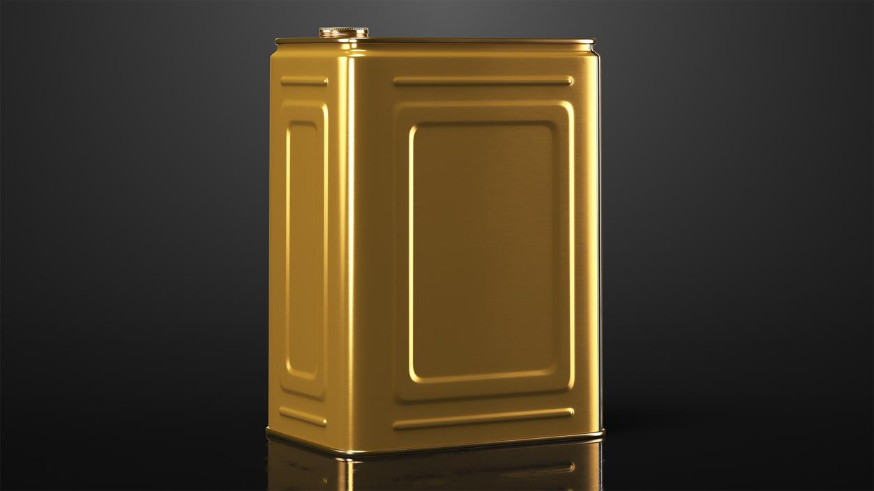 3D Metal Can 10L model