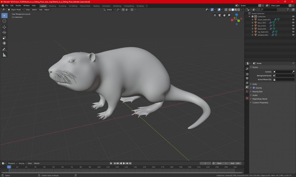 Nutria in a Sitting Pose 3D model