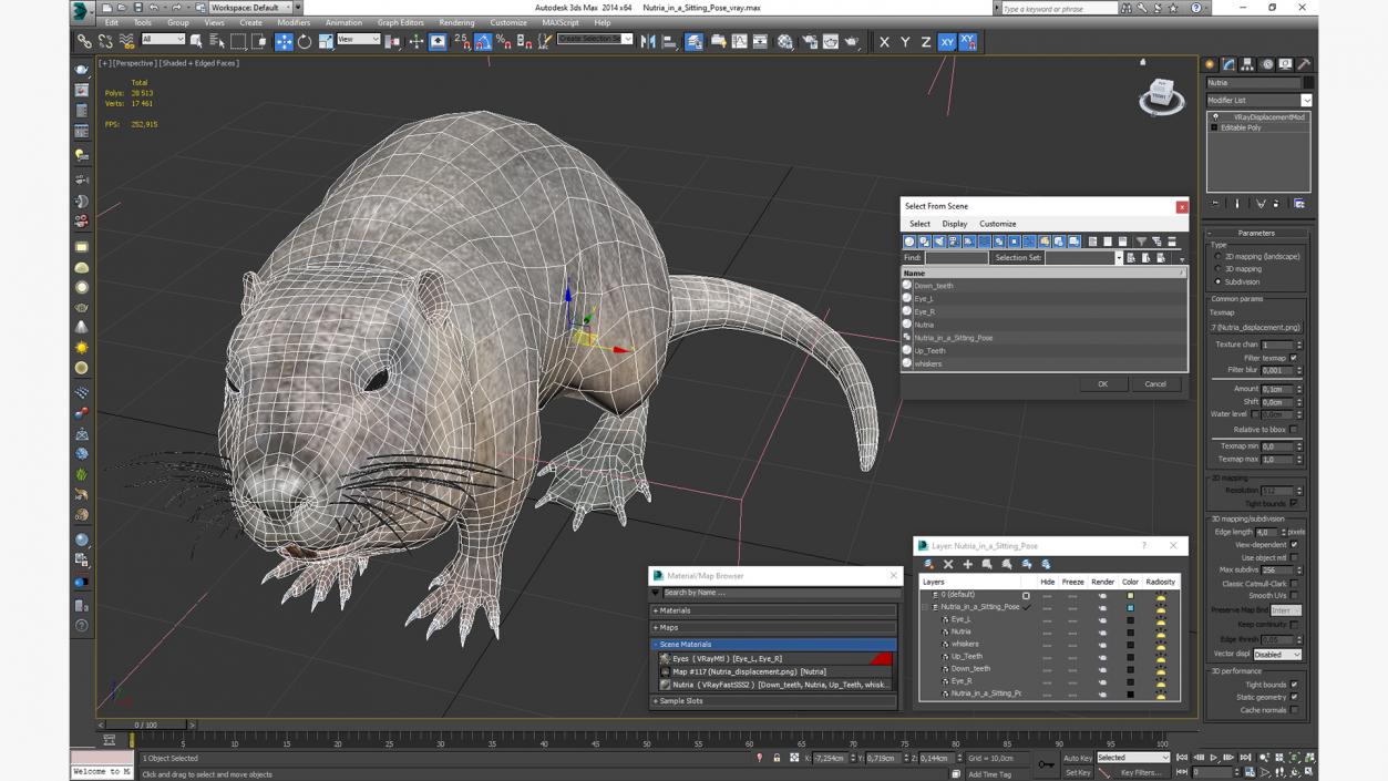 Nutria in a Sitting Pose 3D model