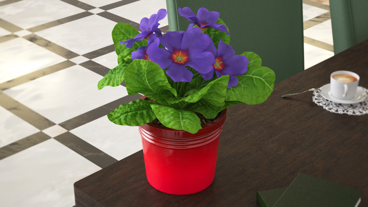 3D model Primula Vulgaris in Pot Purple