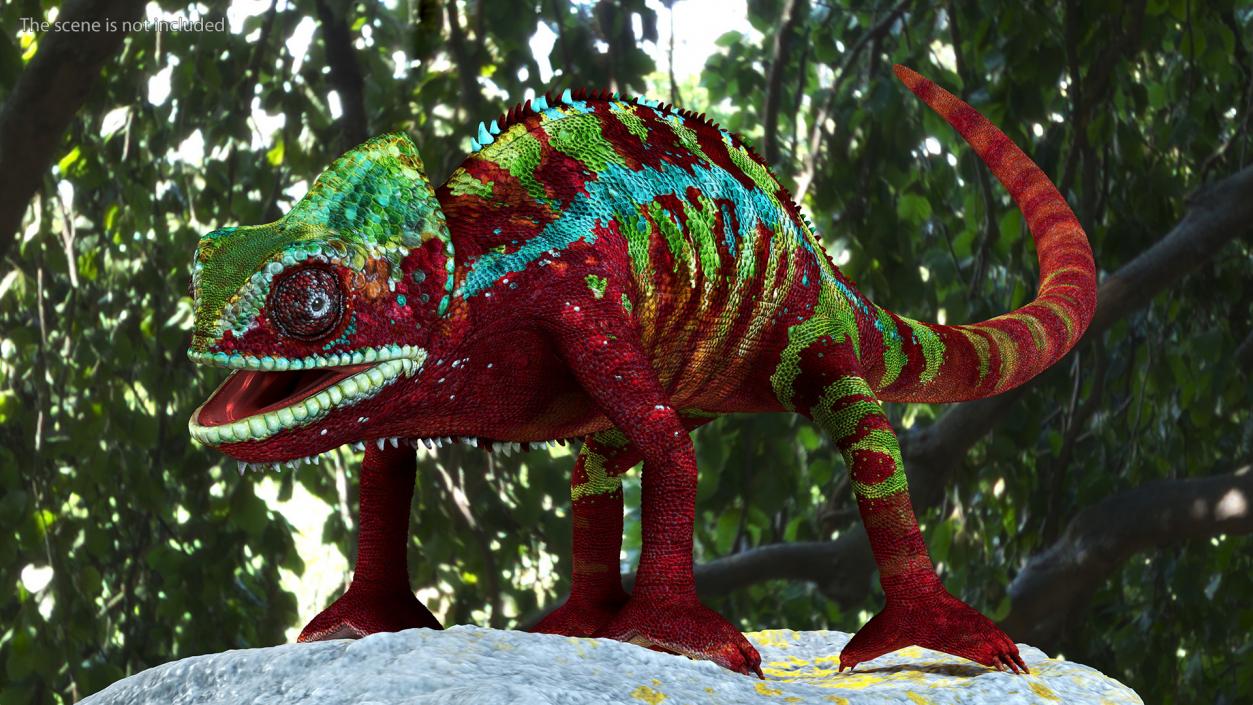 Chameleon Red Rigged for Maya 3D model