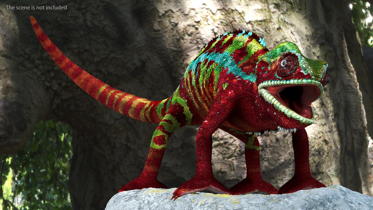 Chameleon Red Rigged for Maya 3D model