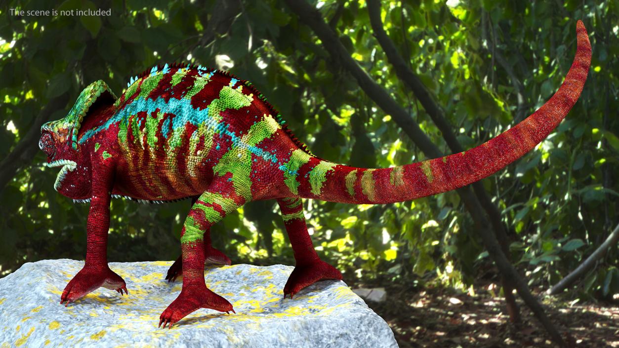 Chameleon Red Rigged for Maya 3D model