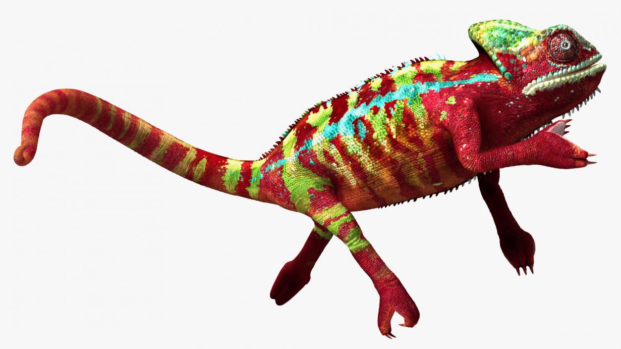 Chameleon Red Rigged for Maya 3D model