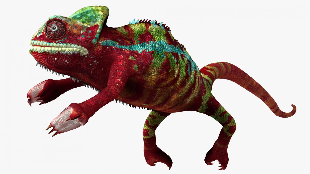 Chameleon Red Rigged for Maya 3D model