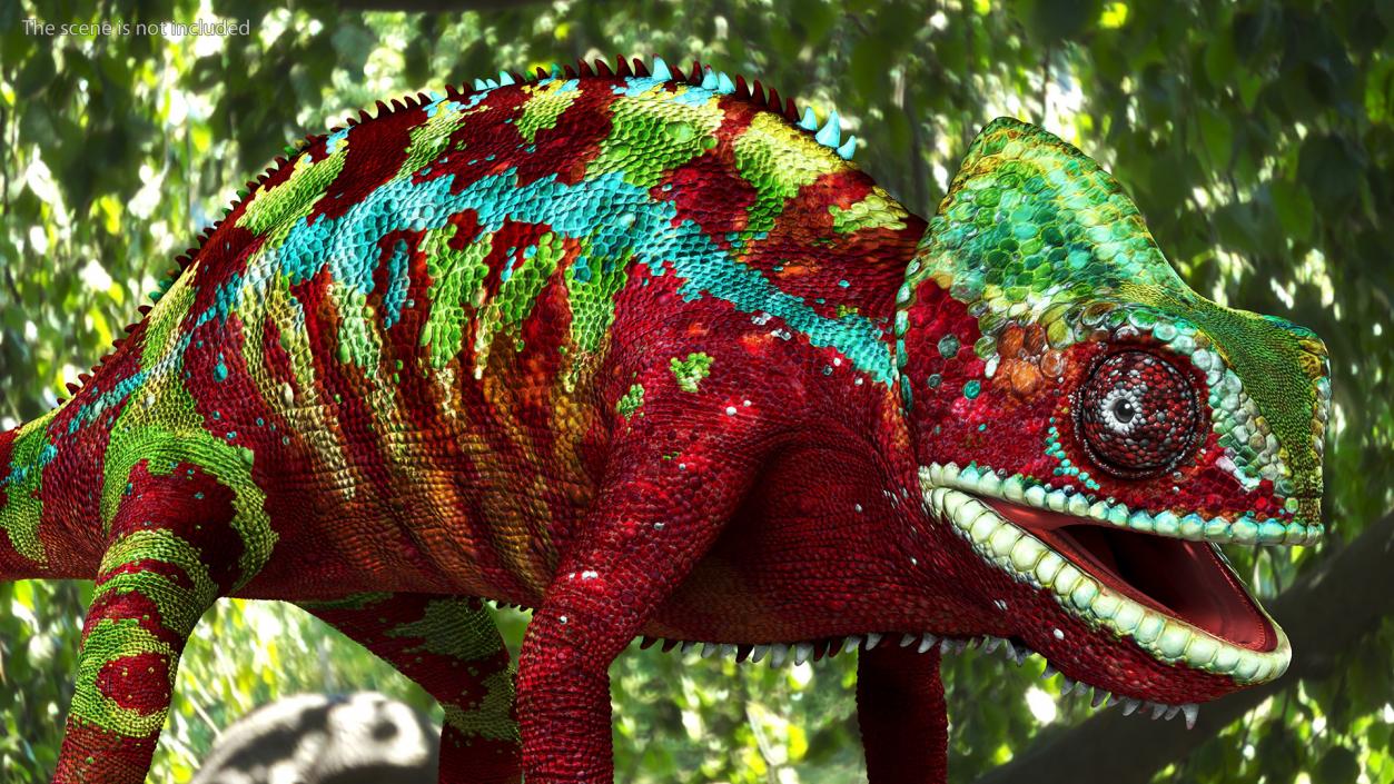 Chameleon Red Rigged for Maya 3D model