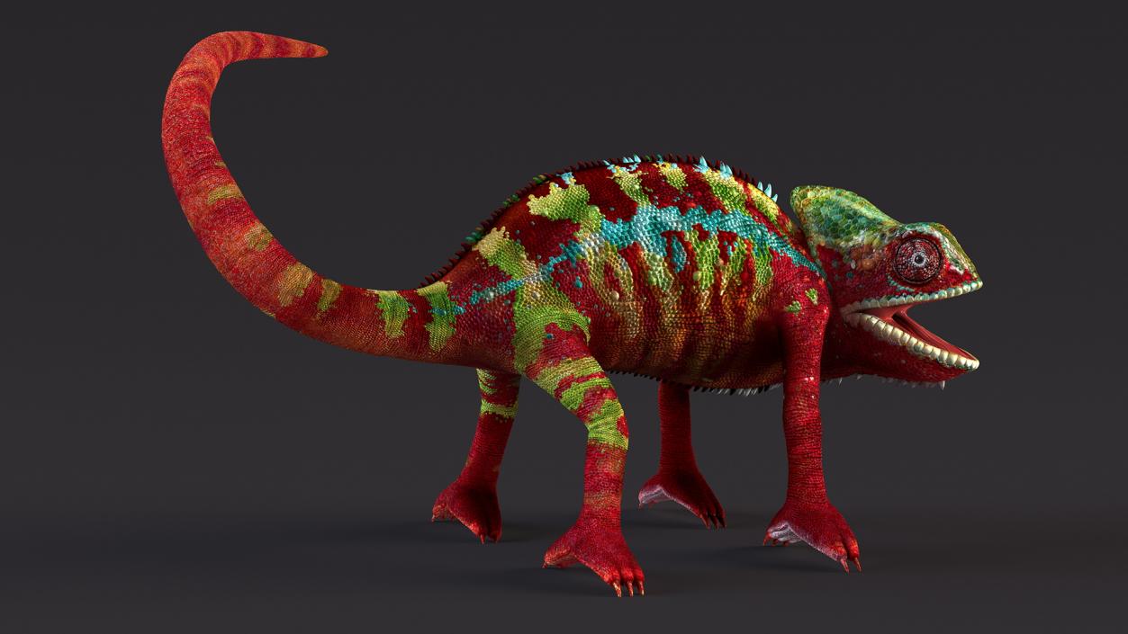 Chameleon Red Rigged for Maya 3D model