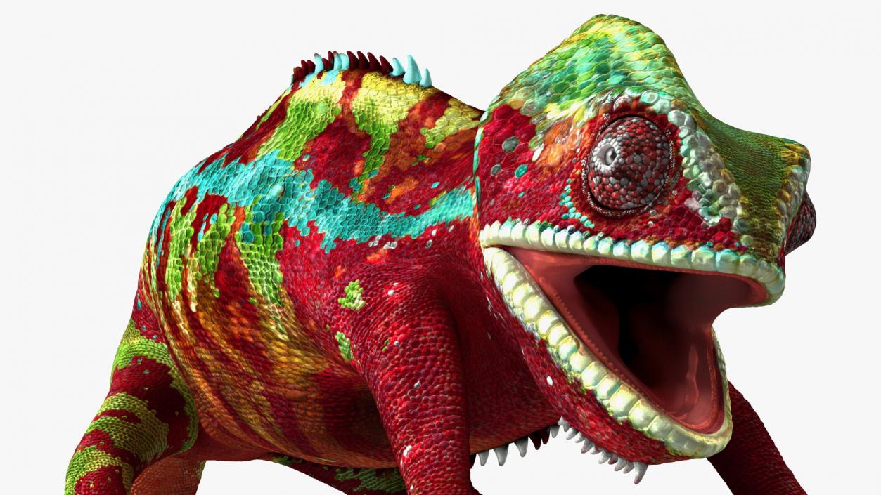 Chameleon Red Rigged for Maya 3D model