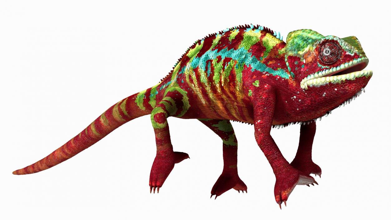 Chameleon Red Rigged for Maya 3D model