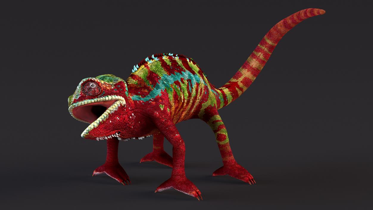 Chameleon Red Rigged for Maya 3D model