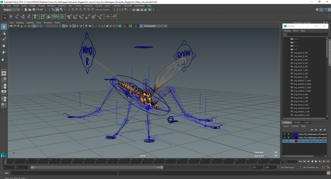 3D Crane Fly Gallinipper Mosquito Rigged for Maya 2 model