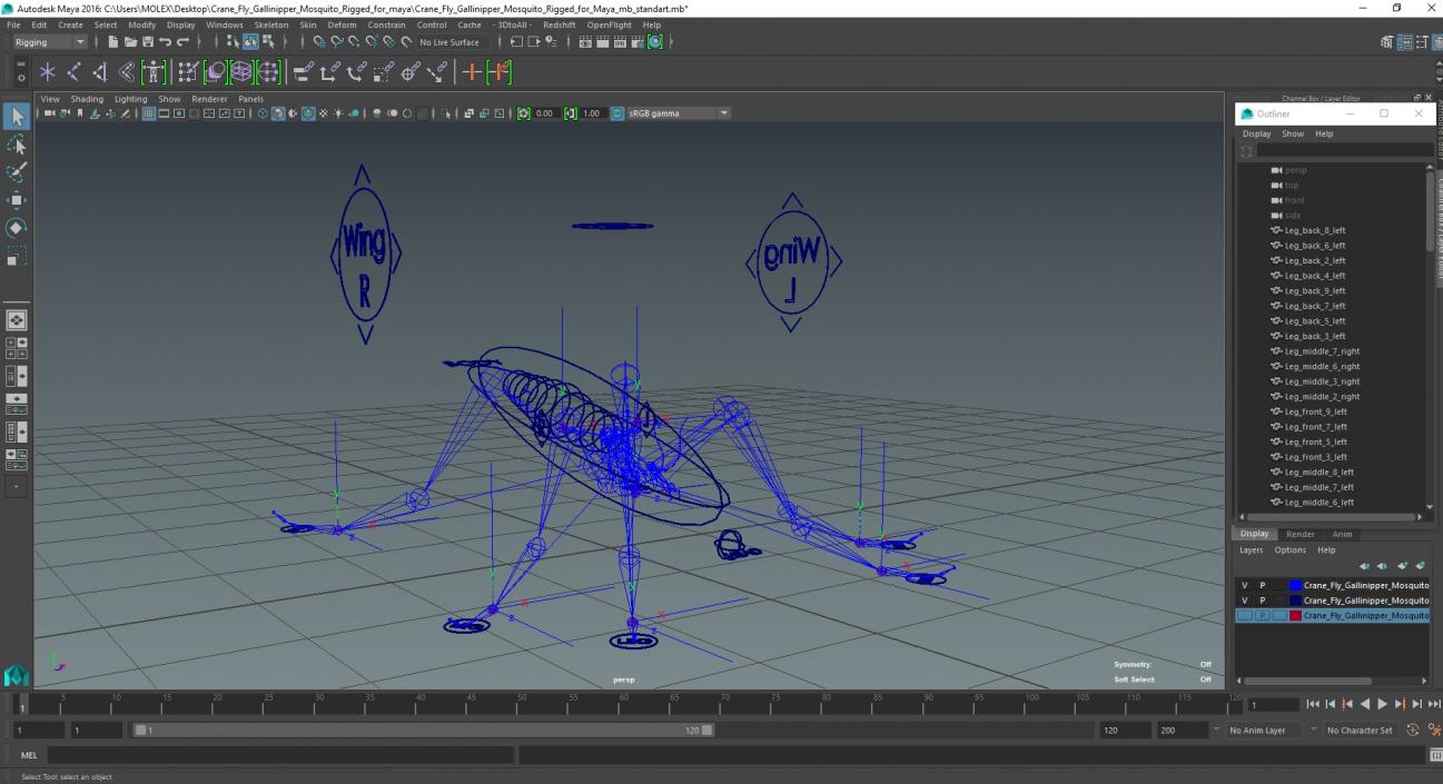 3D Crane Fly Gallinipper Mosquito Rigged for Maya 2 model