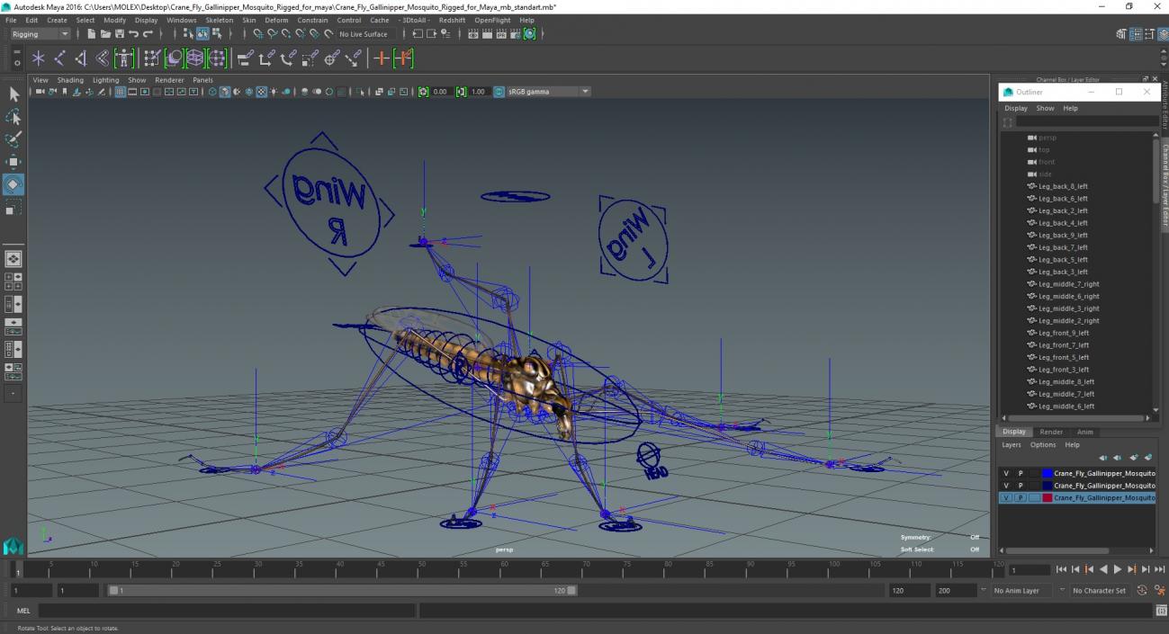 3D Crane Fly Gallinipper Mosquito Rigged for Maya 2 model