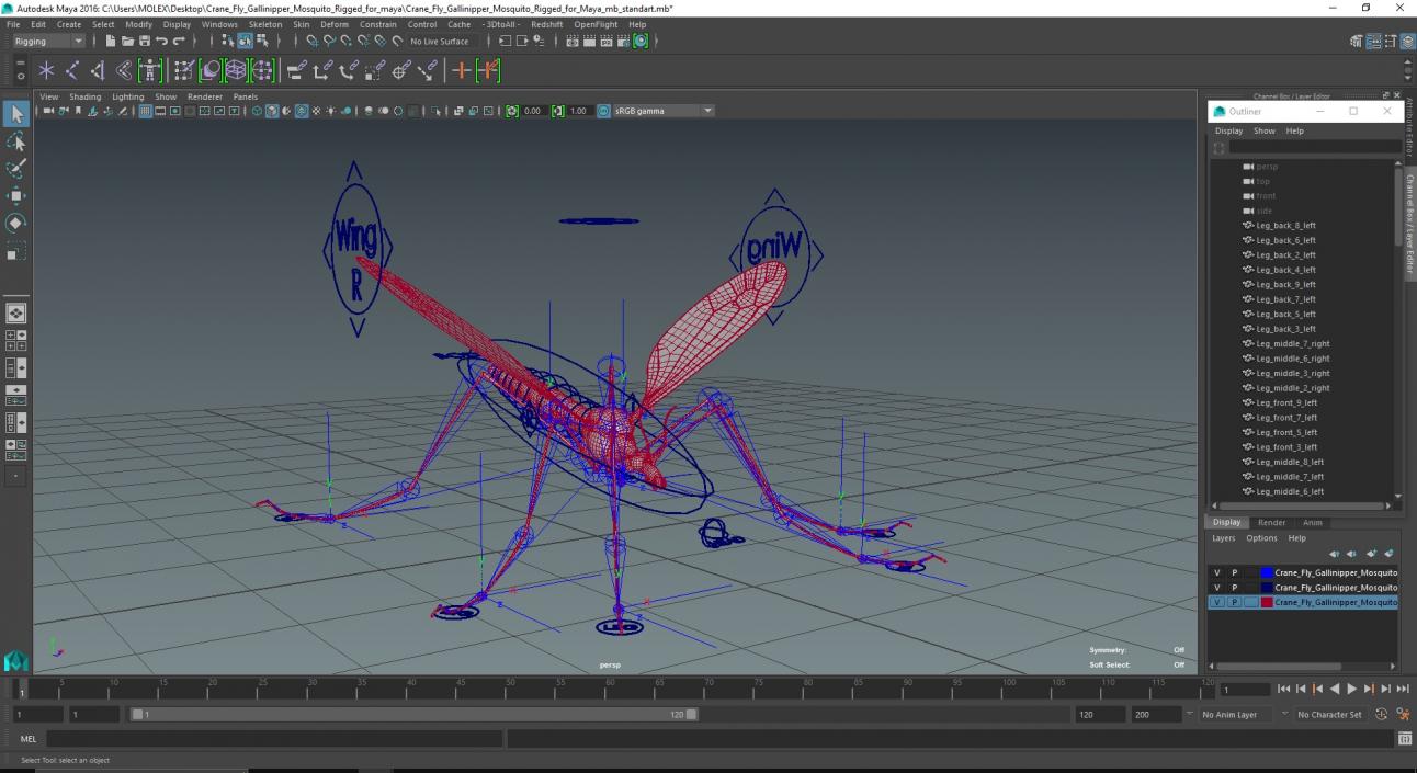 3D Crane Fly Gallinipper Mosquito Rigged for Maya 2 model