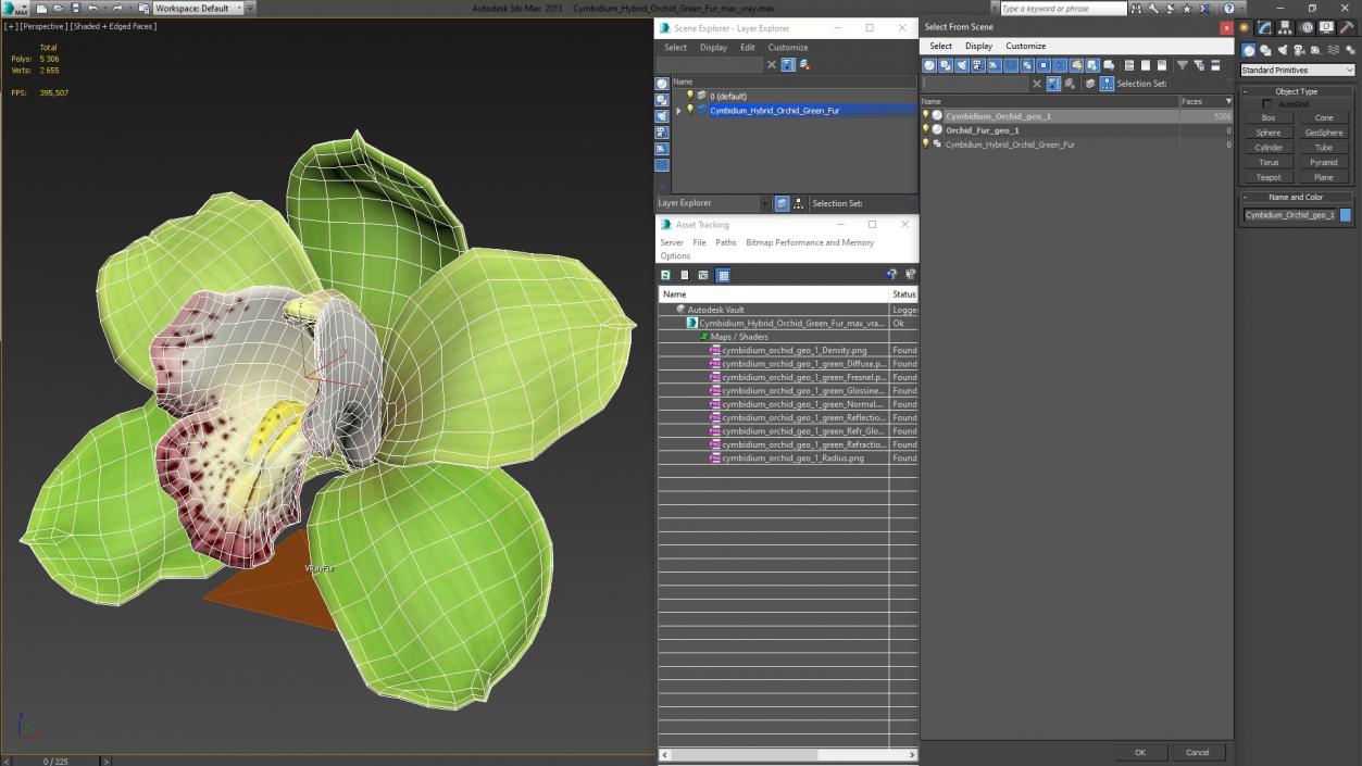 3D Cymbidium Hybrid Orchid Green Fur model