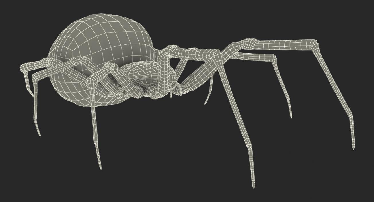 3D model Black Widow Spider Rigged