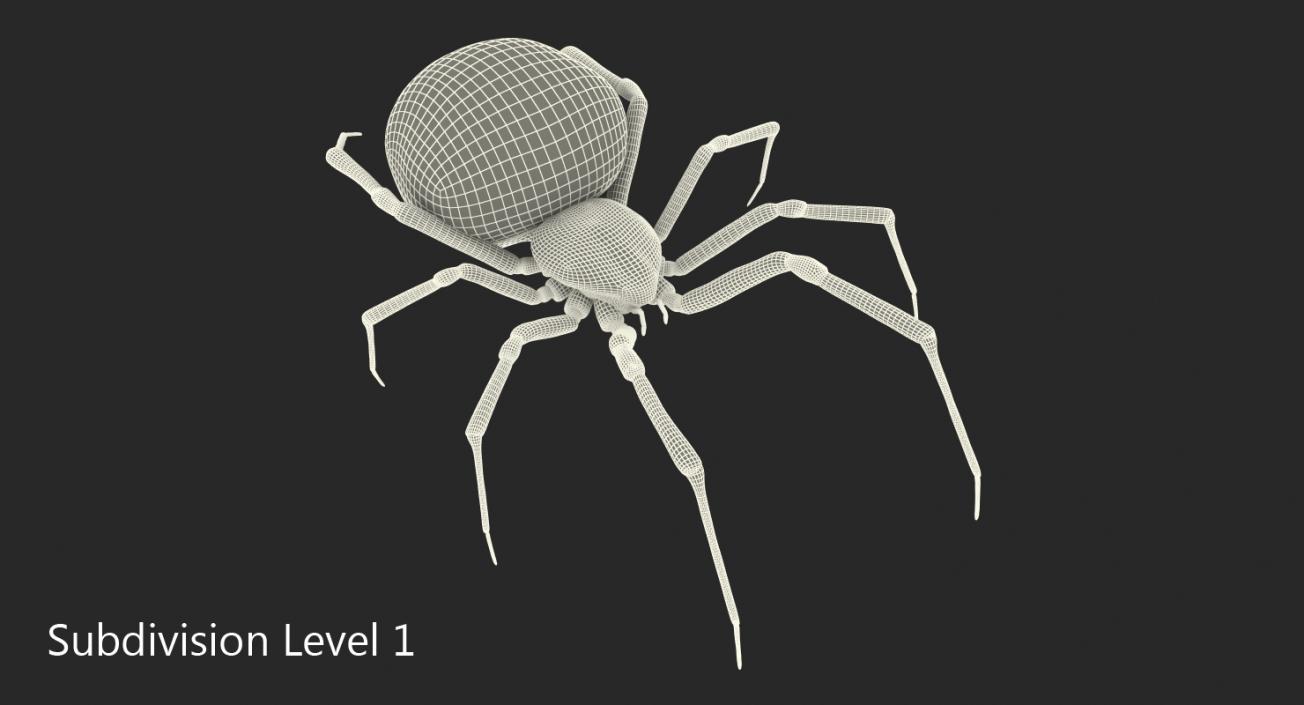 3D model Black Widow Spider Rigged