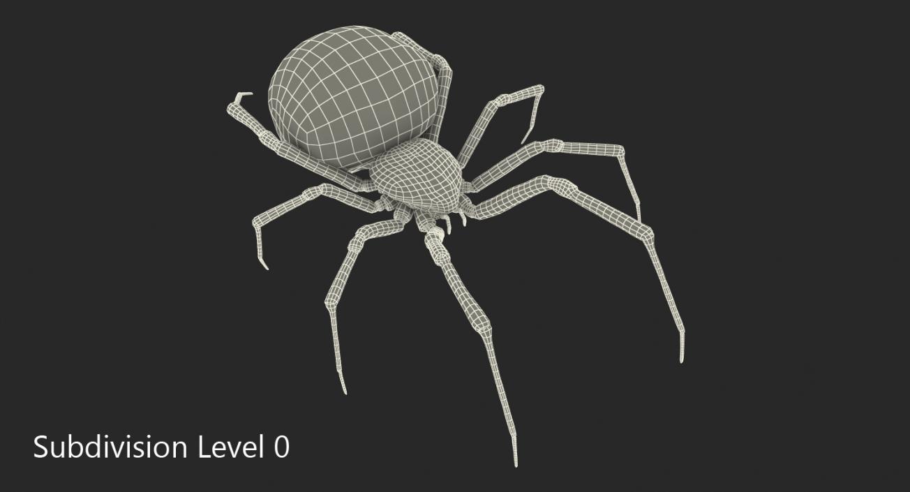 3D model Black Widow Spider Rigged