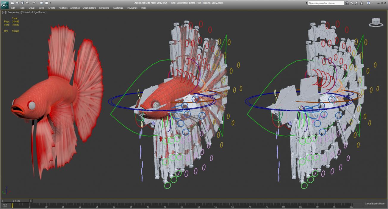 3D Red Crowntail Betta Fish Rigged