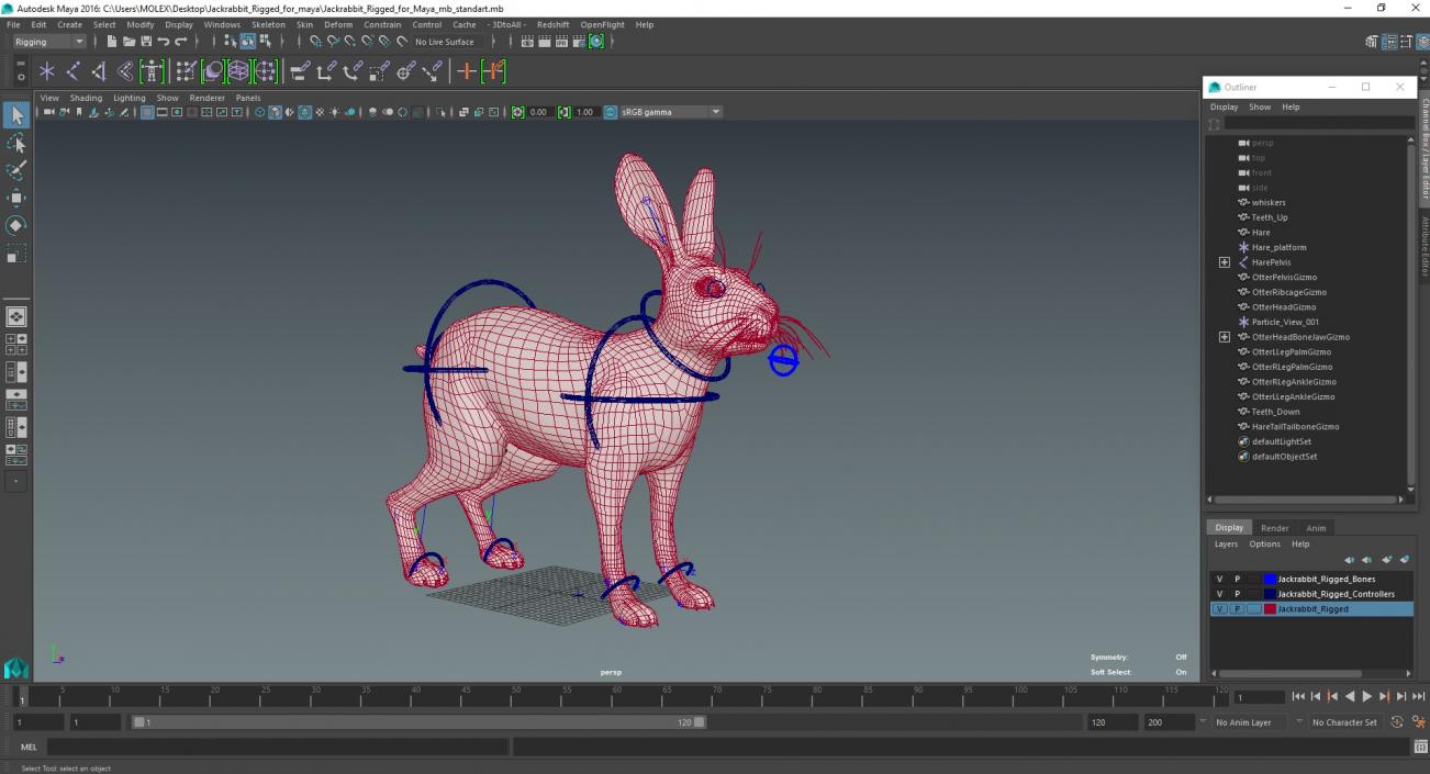 3D Jackrabbit Rigged for Maya