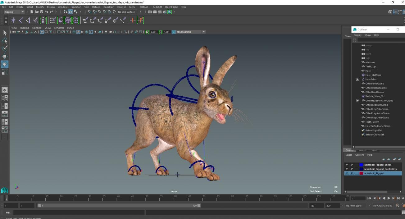 3D Jackrabbit Rigged for Maya