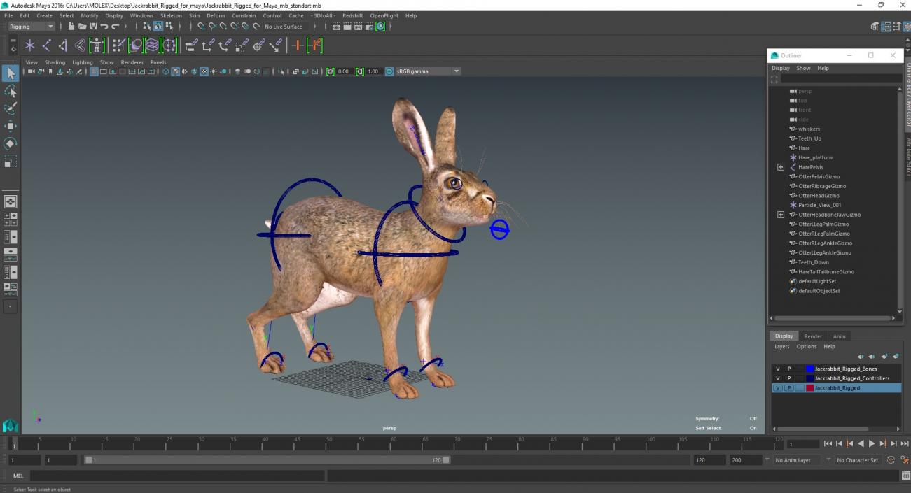 3D Jackrabbit Rigged for Maya