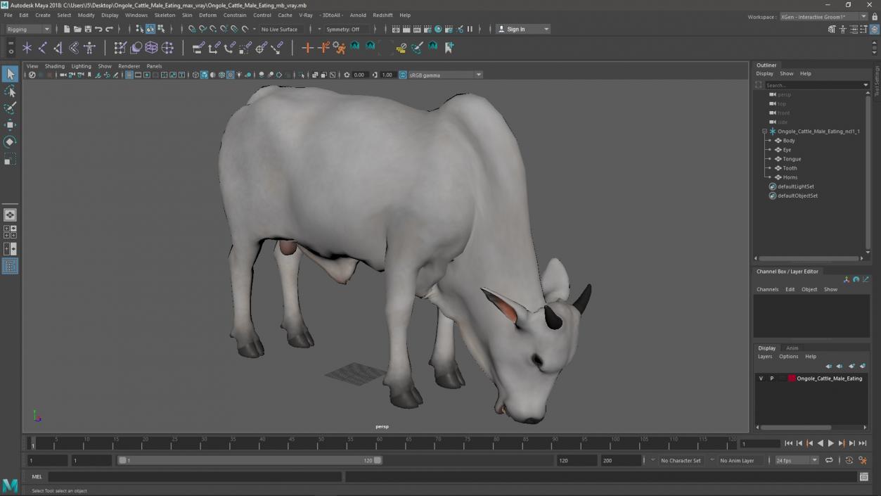 3D model Ongole Cattle Male Eating