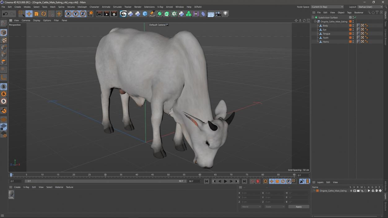 3D model Ongole Cattle Male Eating