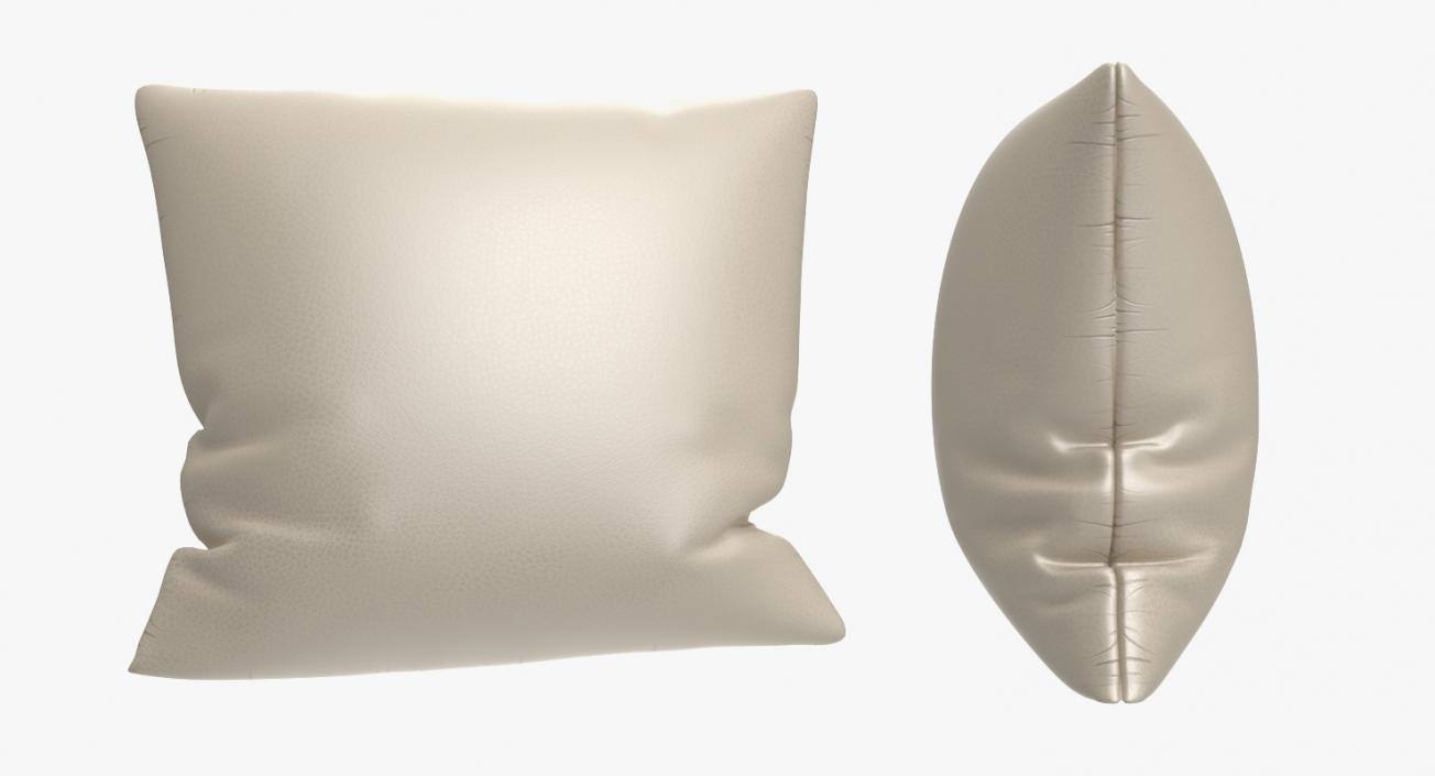 Leather Pillow 3D model