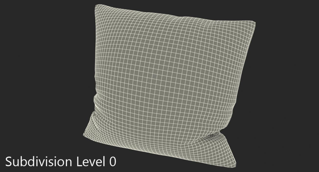 Leather Pillow 3D model