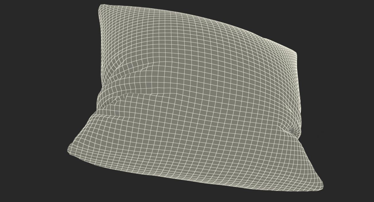 Leather Pillow 3D model