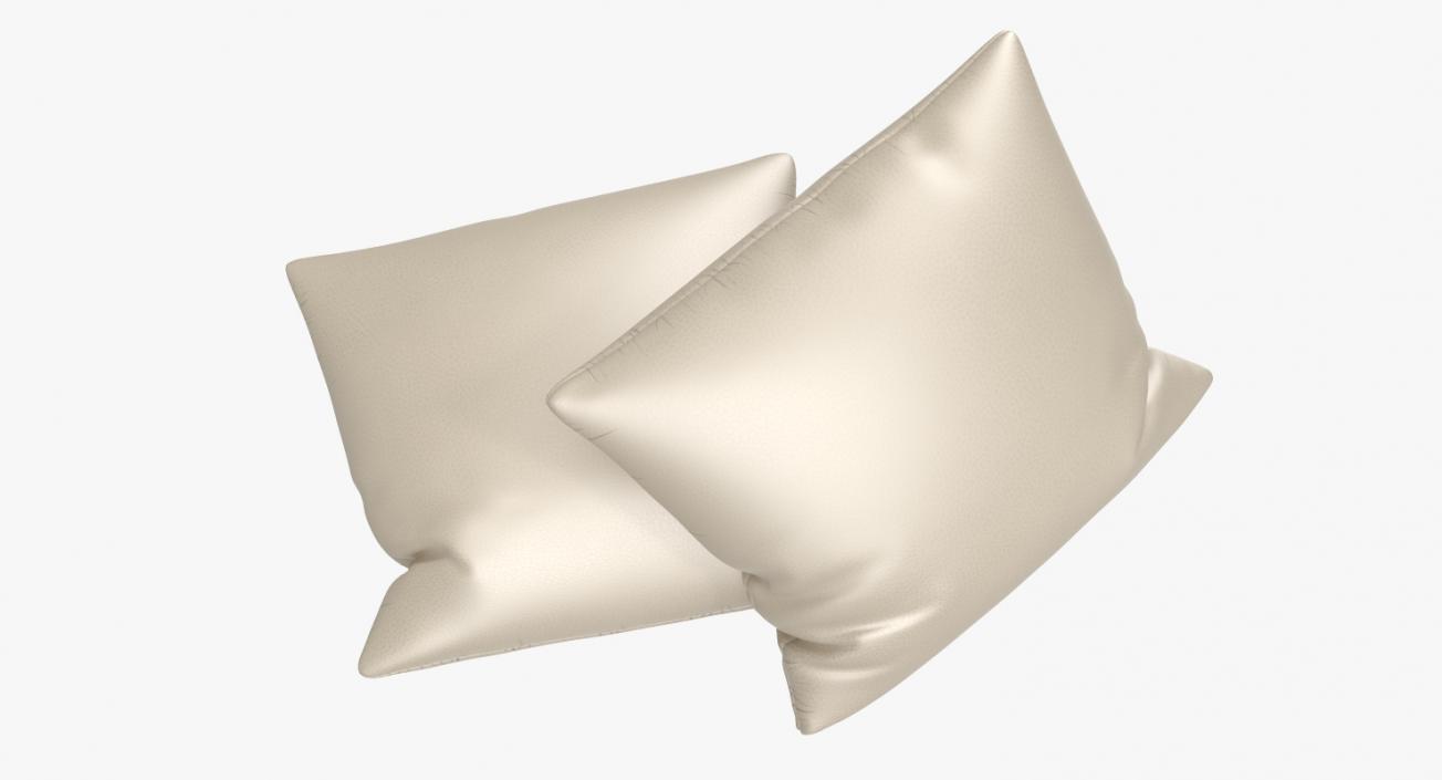 Leather Pillow 3D model