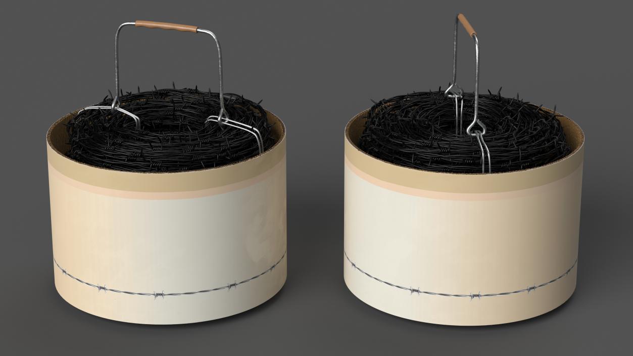 3D model Barbed Black Wire in Cardboard Packaging