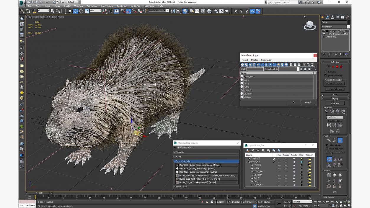 3D model Nutria Fur