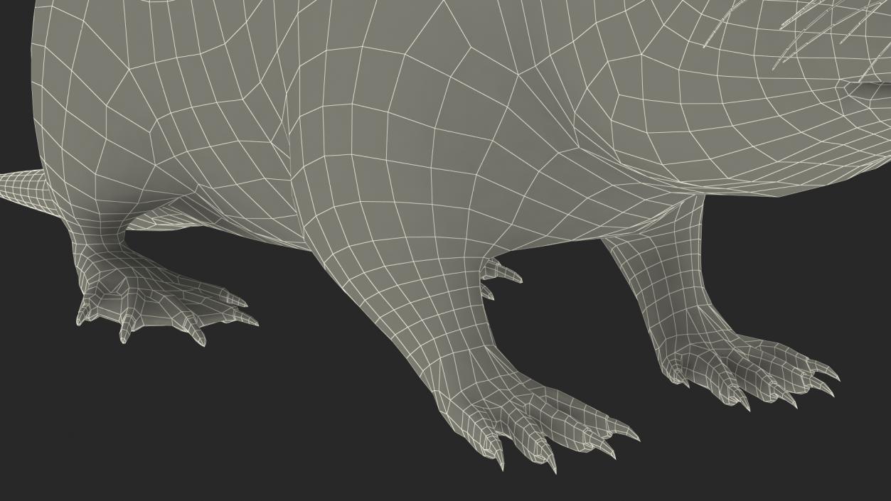 3D model Nutria Fur