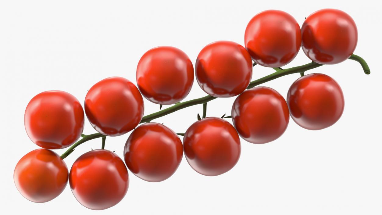 Cherry Tomatoes on the Vine 3D