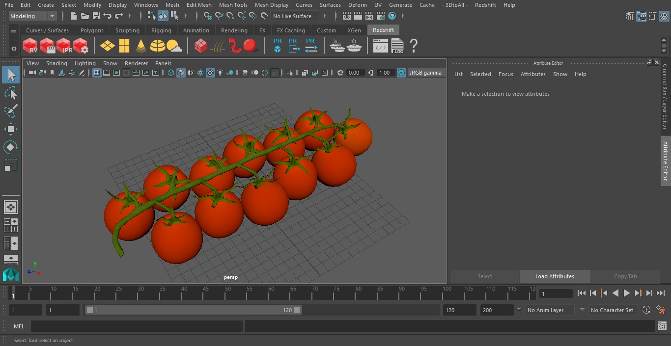 Cherry Tomatoes on the Vine 3D