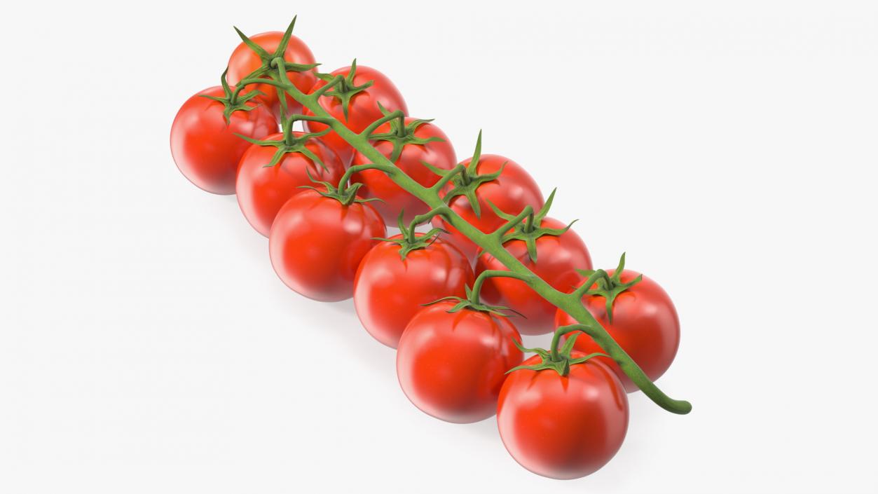 Cherry Tomatoes on the Vine 3D