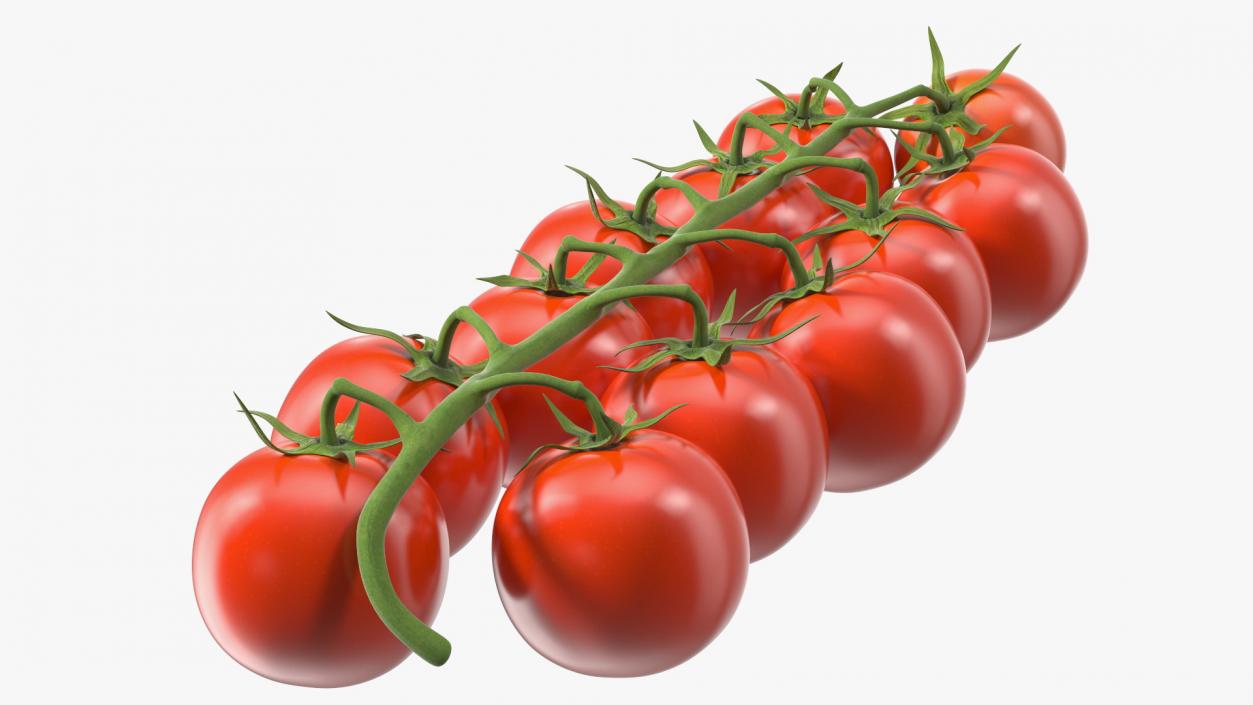 Cherry Tomatoes on the Vine 3D